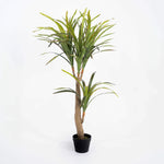 Potted artificial dracaena plant on a white background