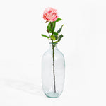 Clear glass vase with a single pink rose on a white background
