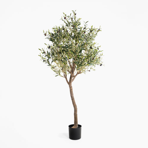 Artificial olive tree in a pot on a white background