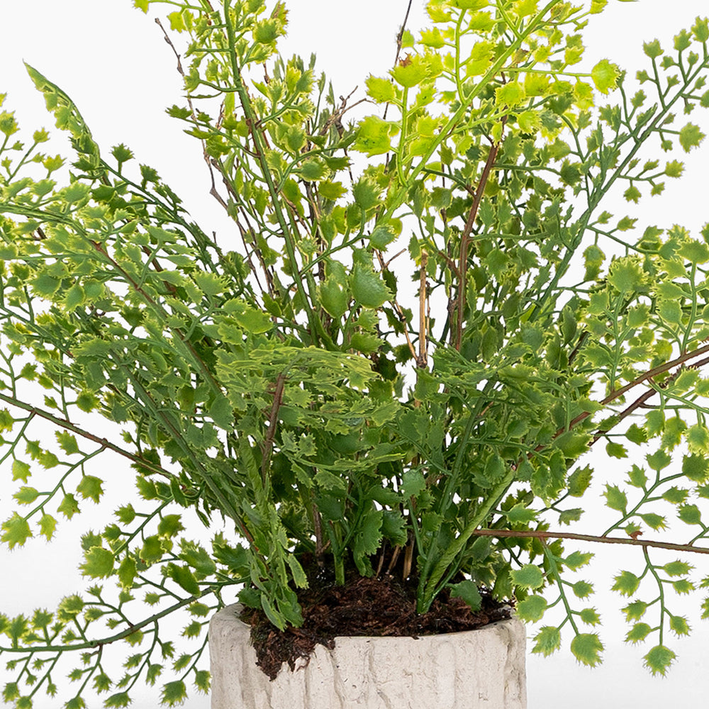 Artificial green plant in a pot on a white background