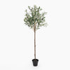 Potted artificial olive tree on a white background