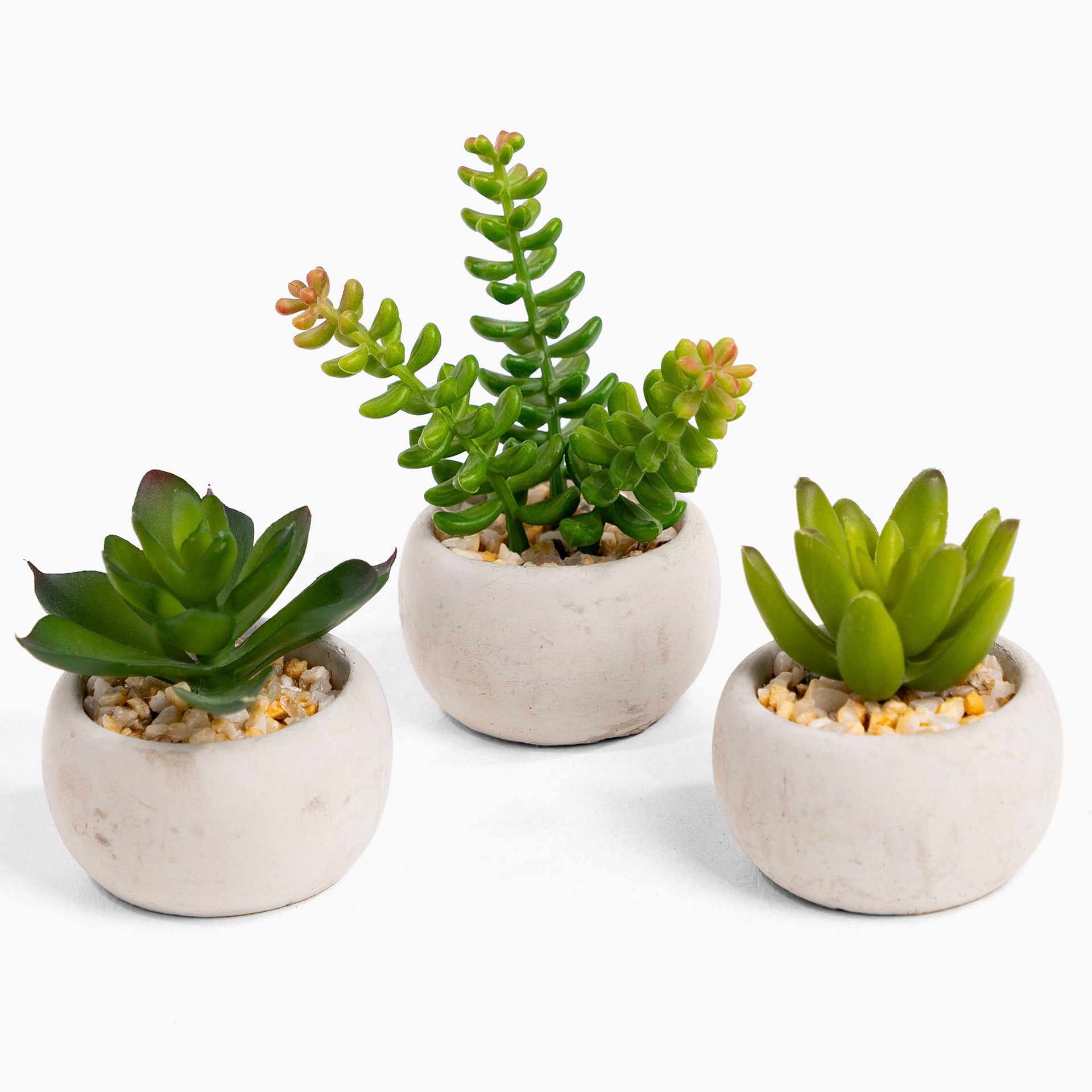 fake succulents uk Mini Faux Succulent Trio - 3 Pack