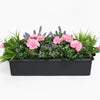 Floral arrangement in a black planter on a white background