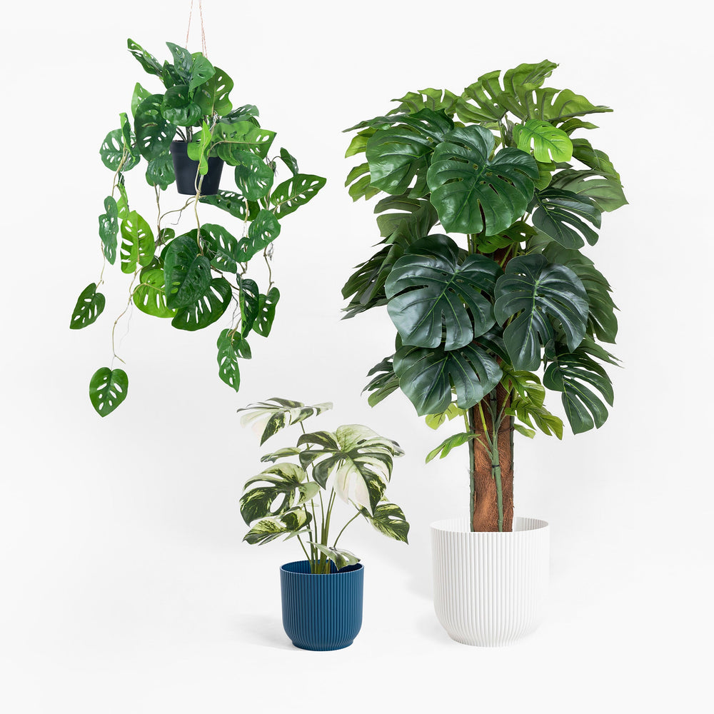 Set of artificial plants including a hanging plant, a potted plant with a wooden stem, and two other potted plants on a white background.