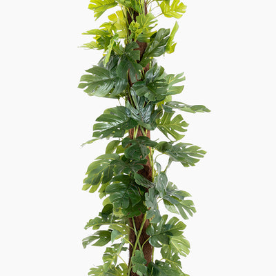 Artificial monstera minima foliage