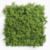 Artificial green wall panel on a white background