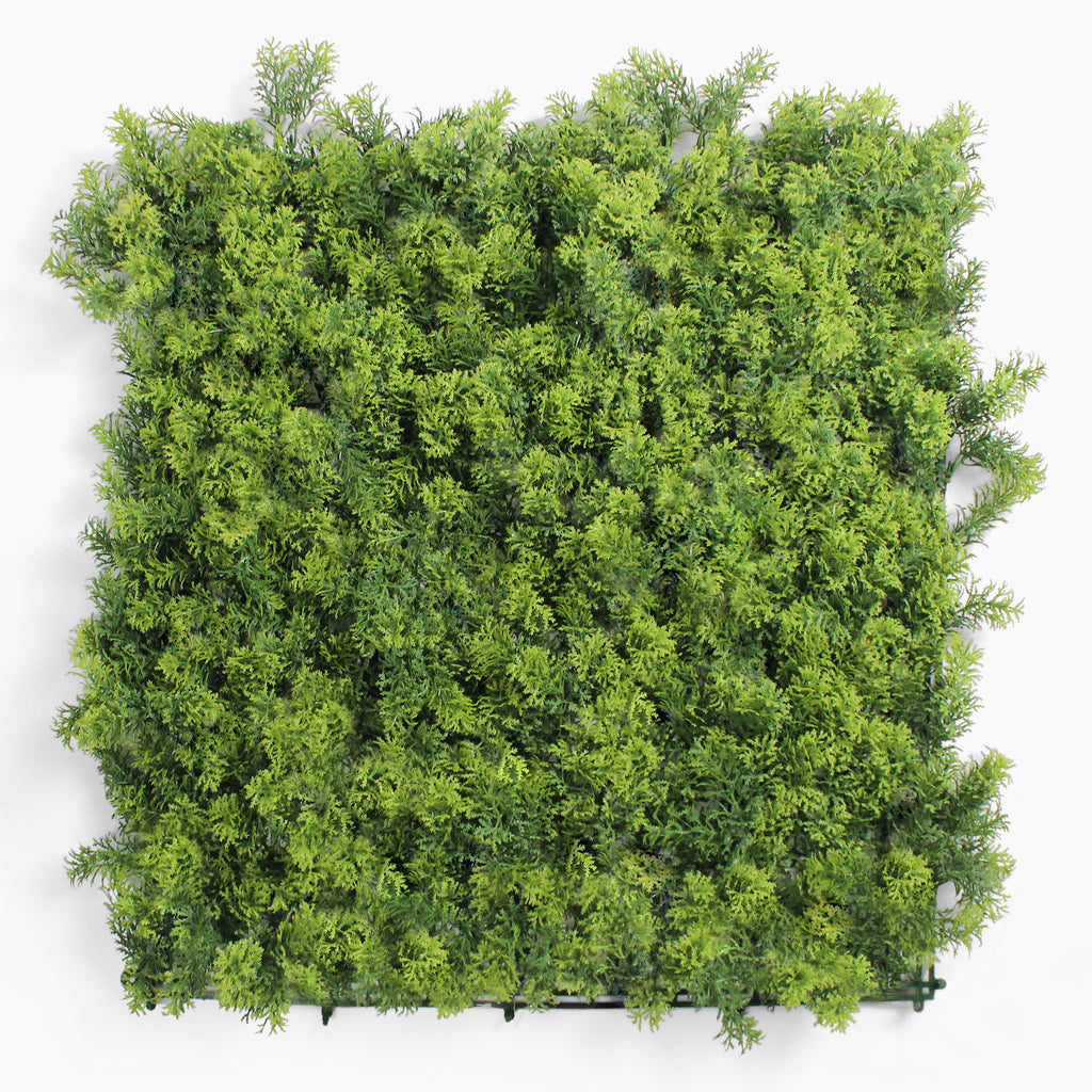 Artificial green wall panel on a white background