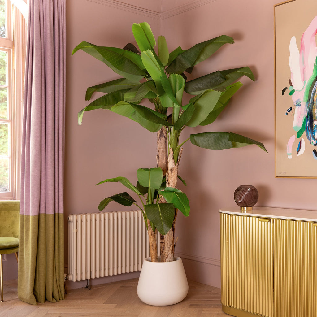 Decorative interior with a large plant, gold cabinet, and colorful abstract painting on a pink wall.