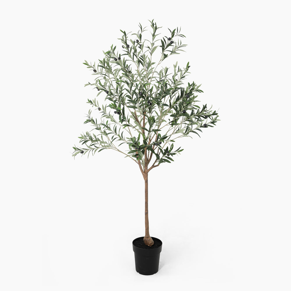 Artificial olive tree in a pot on a white background
