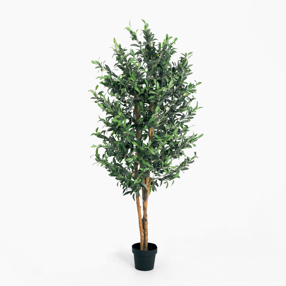 Artificial potted tree with green leaves on a white background