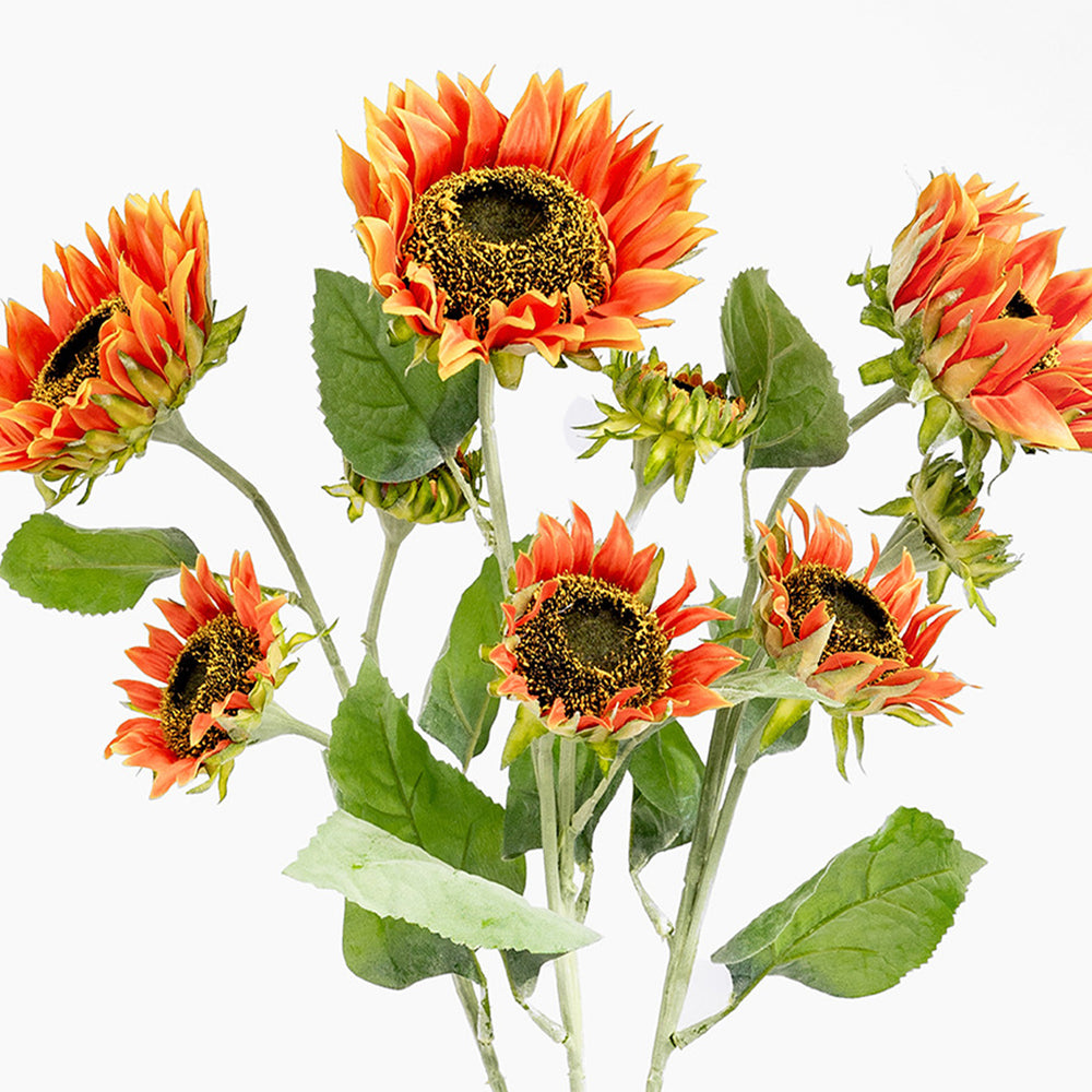 Sunflower triple-head spray