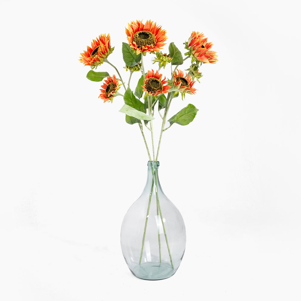 Clear glass vase with sunflower stems on a white background