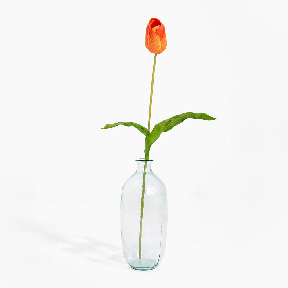 Single orange tulip in a clear glass vase on a white background