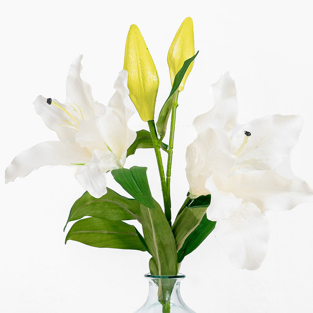 Bouquet of white and yellow lilies in a clear vase on a white background