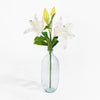 Clear glass vase with white and yellow flowers on a white background