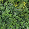 Various green leaves including ferns and other foliage
