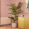 Modern interior with a gold cabinet, potted plant, and abstract art on a pink wall.