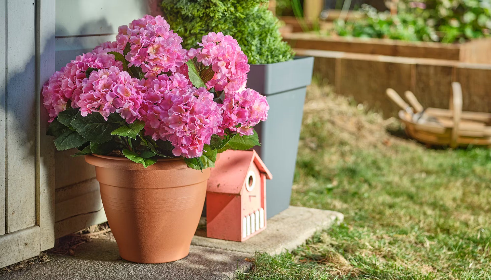 Potted pink flowers on a patio with a garden in the background