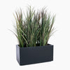 Rectangular black planter with tall green grasses on a white background