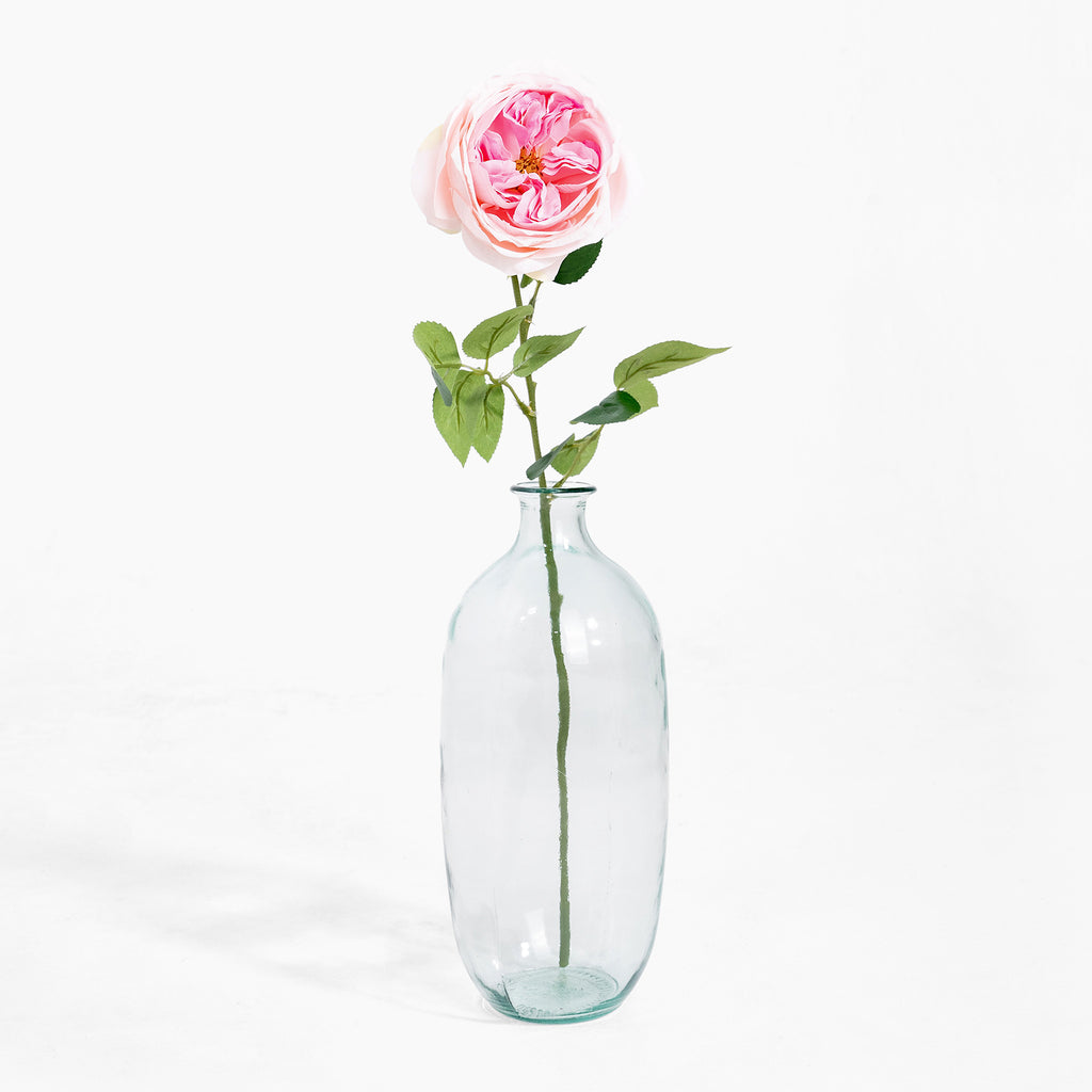 Clear glass vase with a single pink rose on a white background
