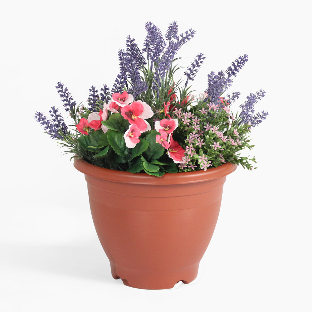 Terracotta pot with a mix of pink flowers and lavender on a white background