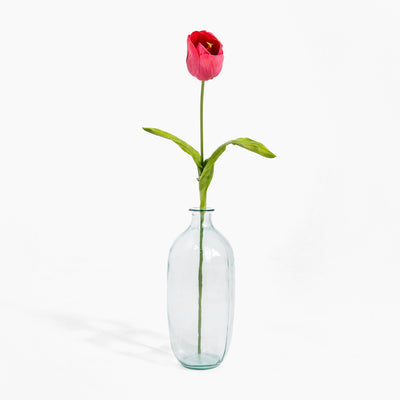 Clear glass vase with a single pink tulip on a white background