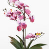 Artificial pink vanda orchid flowers