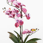 Artificial pink vanda orchid flowers