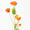 Three orange flowers with green stems on a white background