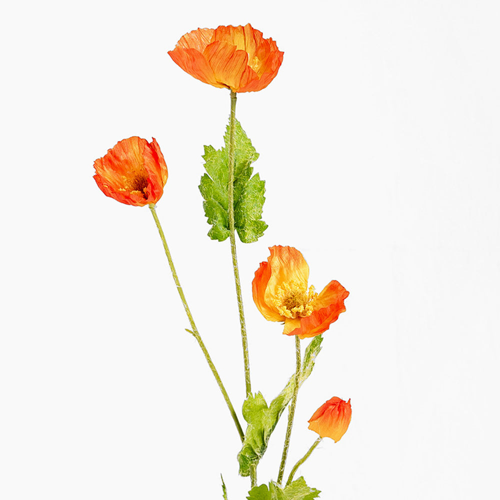 Three orange flowers with green stems on a white background