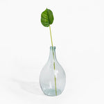 Clear glass vase with a single green leaf on a white background