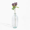 Clear glass bottle with a single stem of purple flowers on a white background