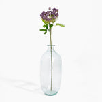 Clear glass bottle with a single stem of purple flowers on a white background