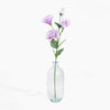 Clear glass bottle with purple flowers on a white background
