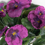 Close-up of purple flowers with green leaves on a white background