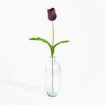 Clear glass vase with a single purple tulip on a white background