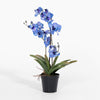 Artificial blue orchid plant in a pot on a white background