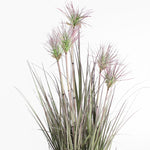 Plants with long, thin leaves on a white background