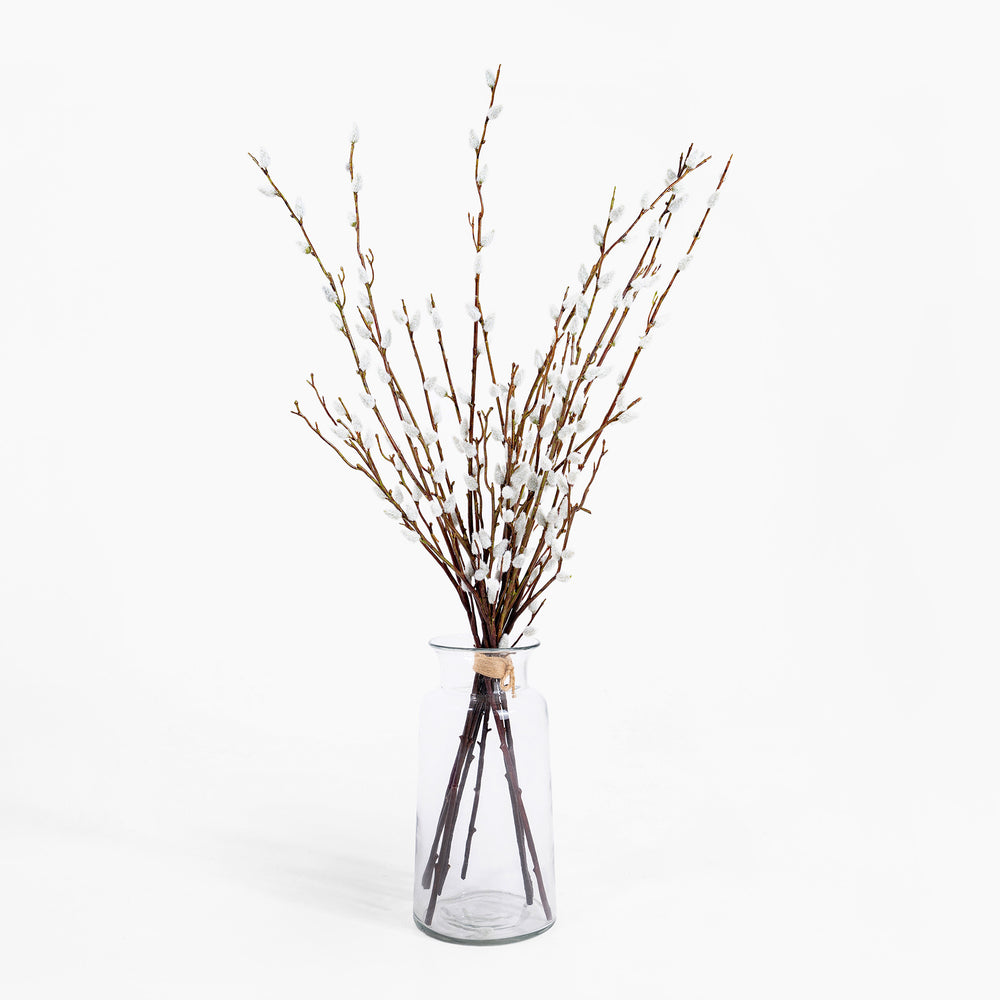 Glass vase with willow branches on a white background