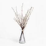 Glass vase with willow branches on a white background