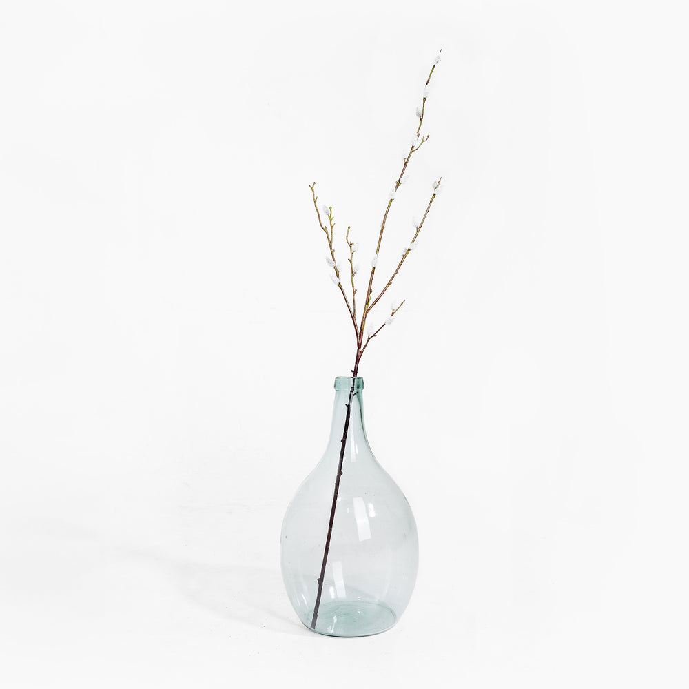 Clear glass vase with a branch on a white background