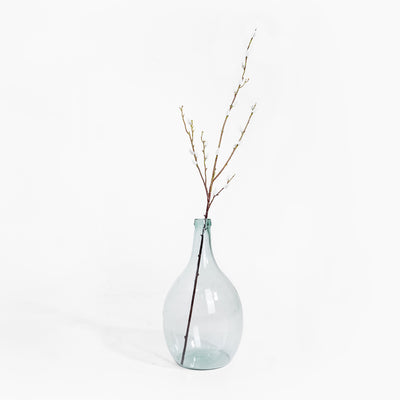 Clear glass vase with a branch on a white background