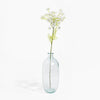 Clear glass vase with a single stem of flowers on a white background