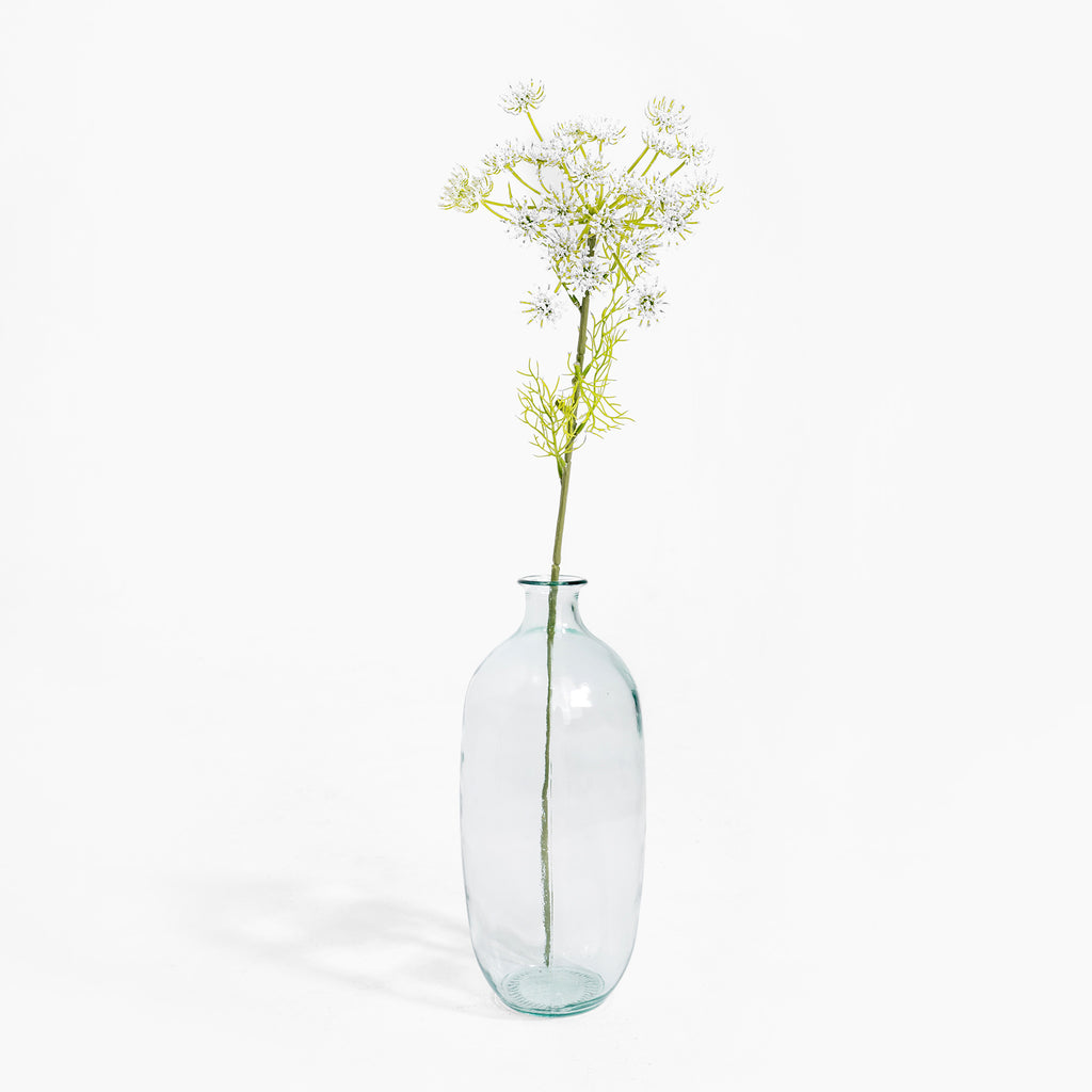 Clear glass vase with a single stem of flowers on a white background
