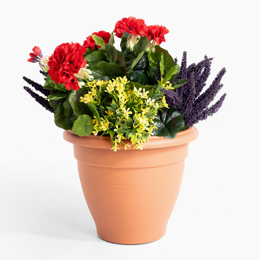 Terracotta pot with a colorful arrangement of red, yellow, and purple flowers on a white background