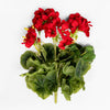 Artificial red geranium bush