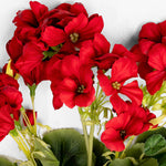 Artificial red geranium bush flowers