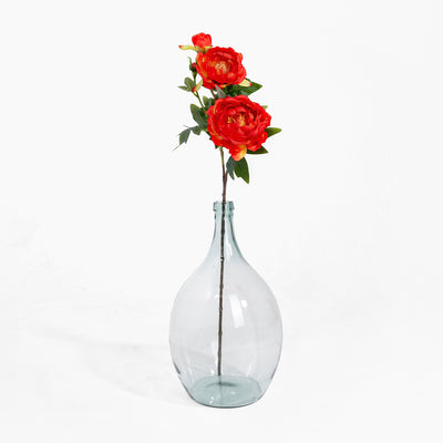 Clear glass vase with red flowers on a white background