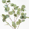 Artificial silver dollar eucalyptus foliage