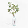 Clear glass vase with eucalyptus branches on a white background